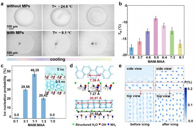 北理工团队在微塑料促进冰成核领域取得新进展