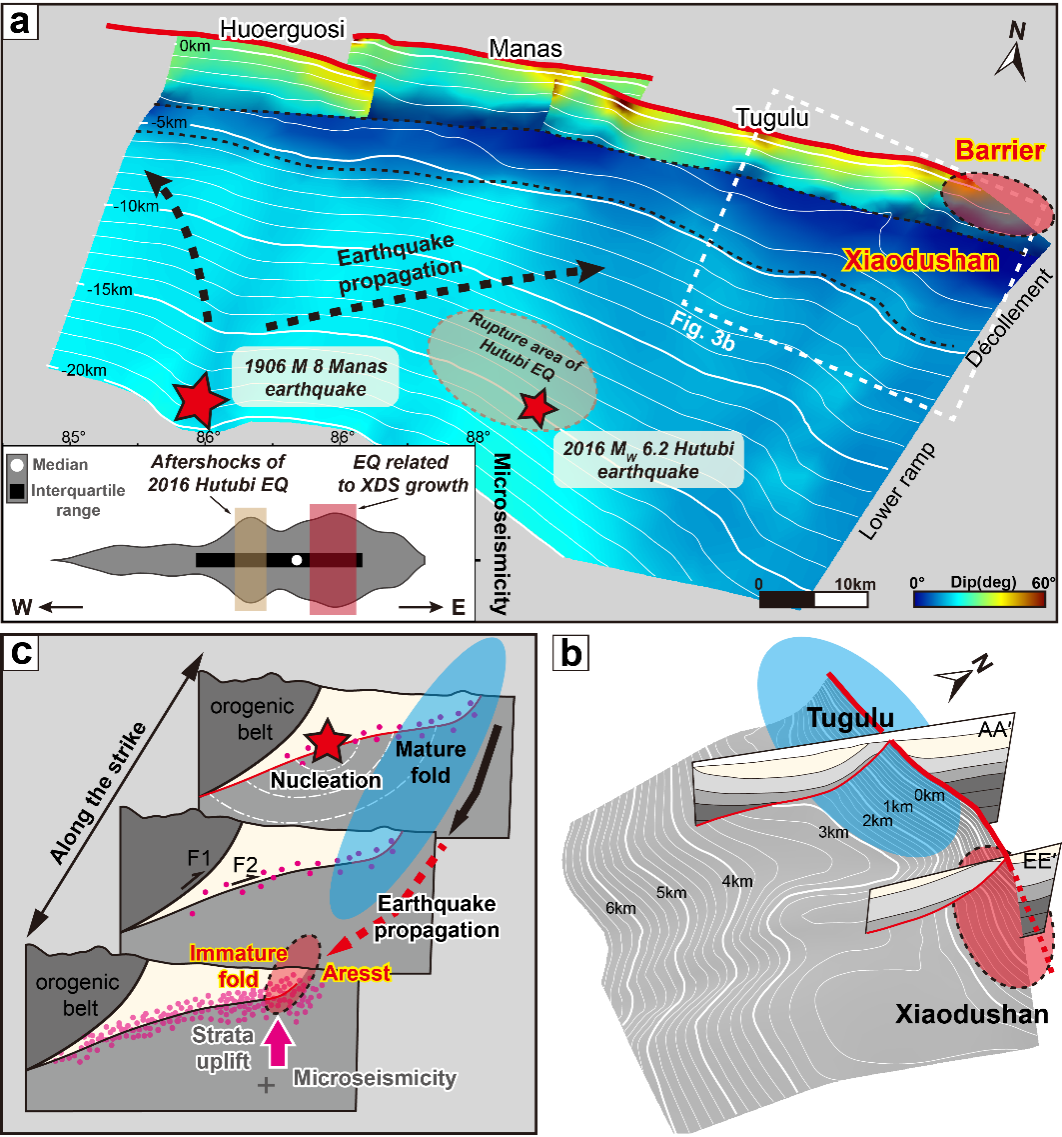 中山大学李志刚课题组揭示活动褶皱在大型逆冲地震破裂终止中的作用