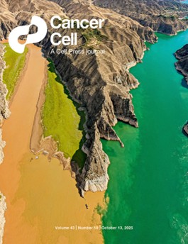 中山大学徐瑞华教授团队创新双免疗法改变结肠癌治疗策略