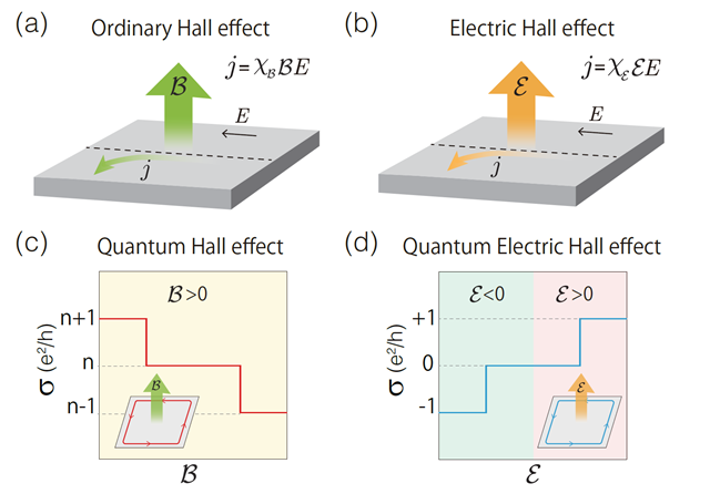 北京理工大学团队在电霍尔效应和量子电霍尔效应研究方面取得重要进展