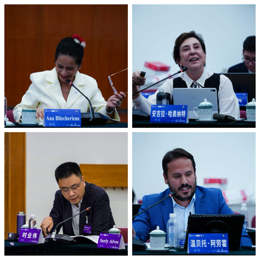 北京师范大学中巴法律与人工智能学术研讨会在北京师范大学举行