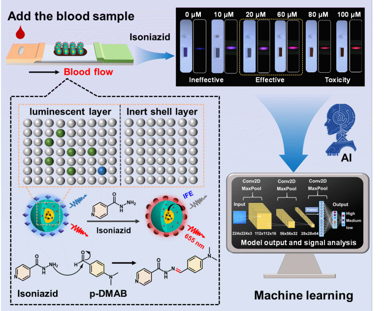 研究开发出新型上转换纳米粒子