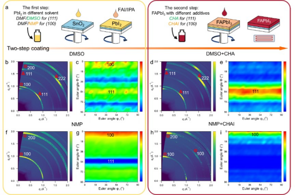 “溶剂–添加剂级联调控”策略实现单一取向钙钛矿薄膜制备