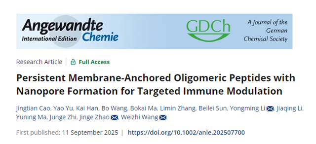 北理工课题组在膜靶向寡聚螺旋肽纳米孔道免疫调节方面取得进展