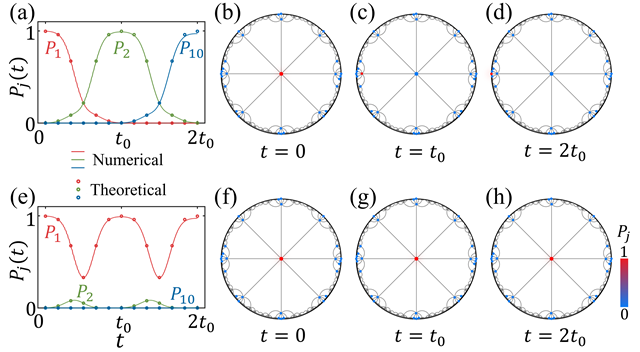 北京理工大学课题组在拓扑电路和拓扑泵浦研究方面取得重要进展