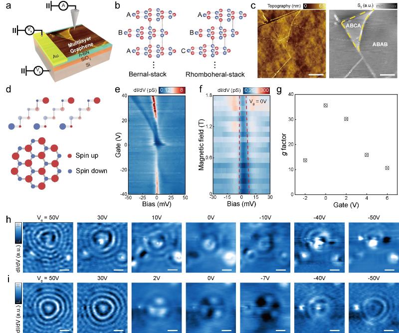 上海交大王世勇、史志文课题组PRL发文:菱方多层石墨烯中关联电子物态的实空间表征