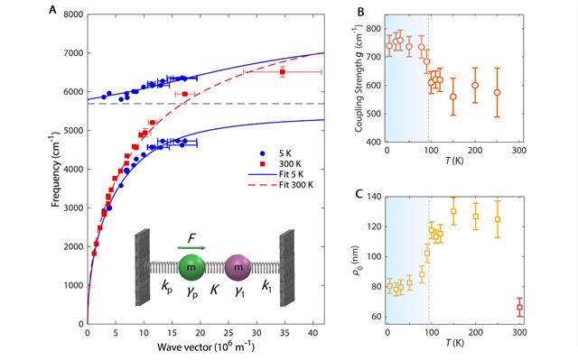北理工物理学院在笼目晶格材料CsV3Sb5等离激元研究方面取得重要进展