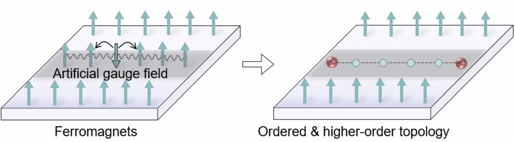 南京大学王锐、王伯根课题组利用人工规范场实现空间局域的自旋子及其禁闭
