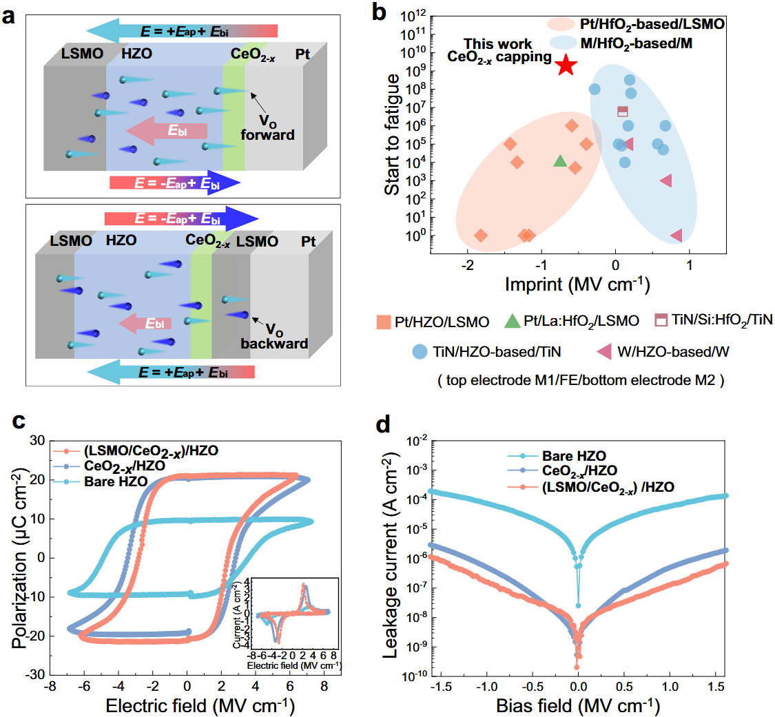 哈工大陈祖煌教授团队通过界面设计突破铪基铁电器件可靠性极限