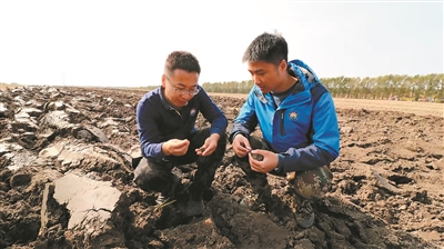 守护“耕地中的大熊猫”