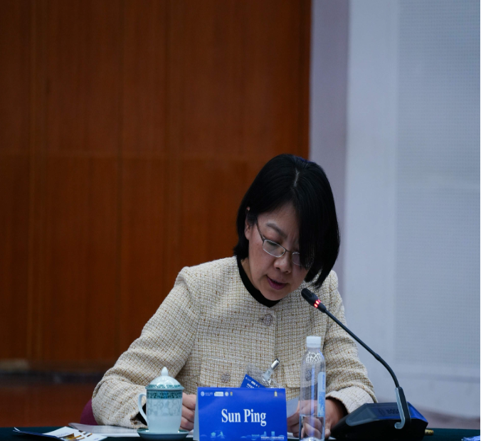 北京师范大学中巴法律与人工智能学术研讨会在北京师范大学举行