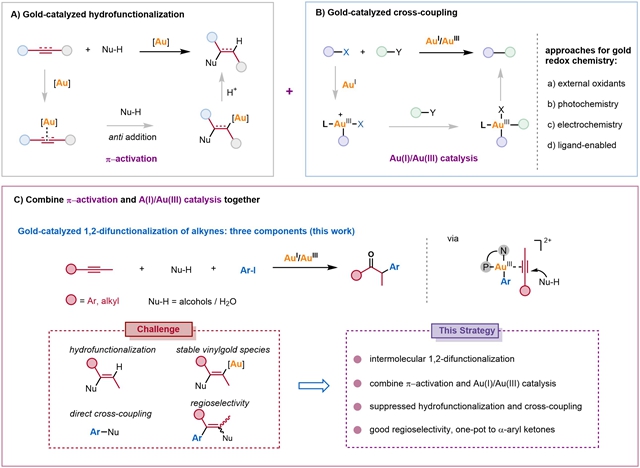 北理工团队在金催化炔烃1,2-双官能化领域取得重要进展
