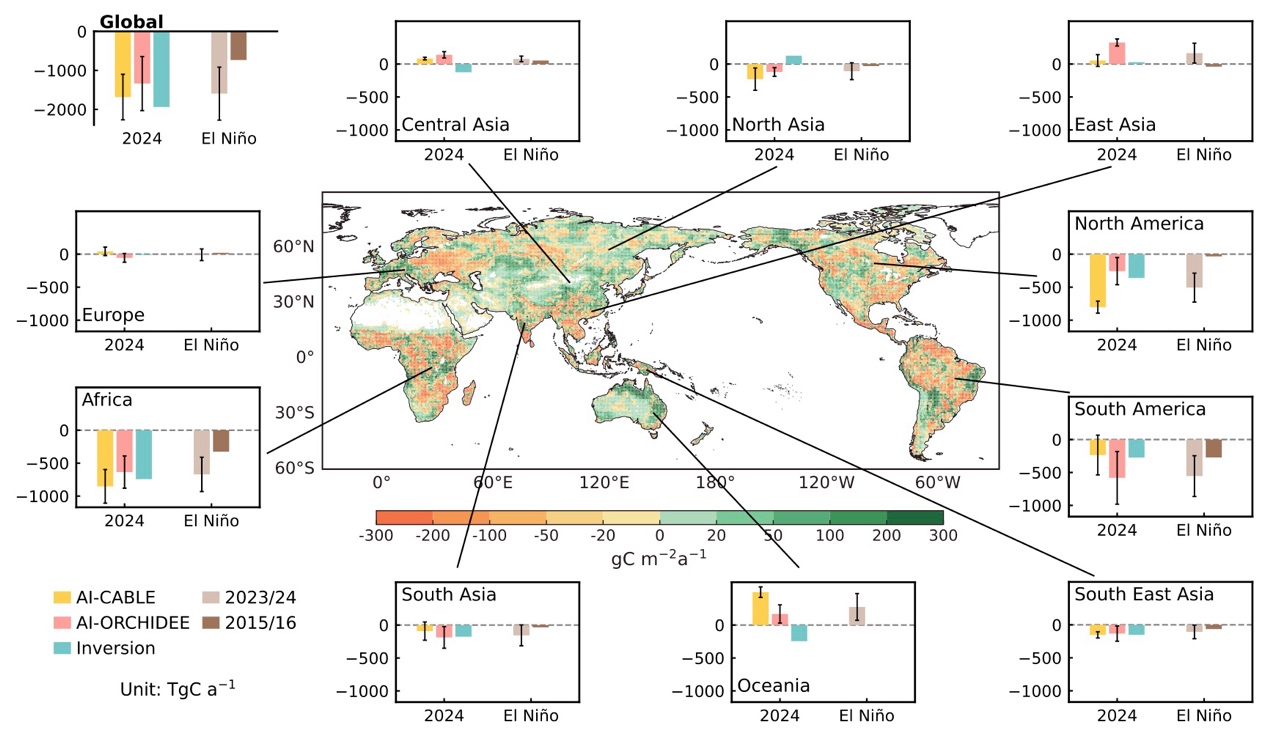 北京大学碳中和研究院团队利用人工智能揭示2024年全球陆地生态系统碳汇减半