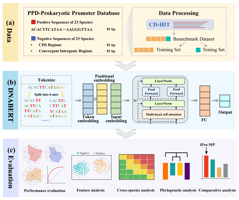 电子科技大学生命学院生物信息学团队在Genome Biology发表研究成果