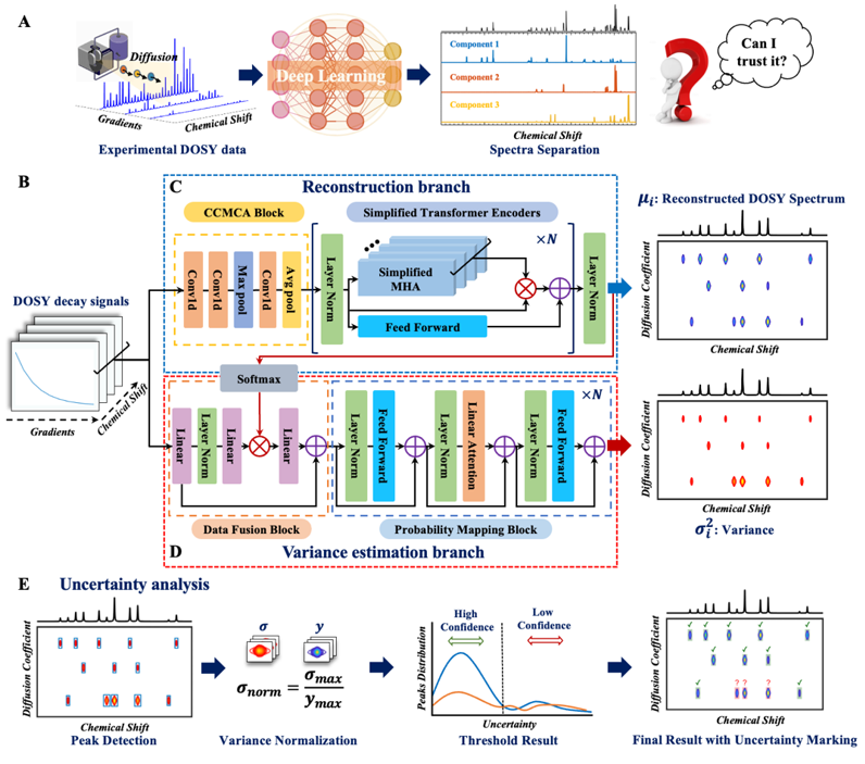 厦门大学陈忠教授团队在拉普拉斯核磁共振深度学习重建领域取得重要进展