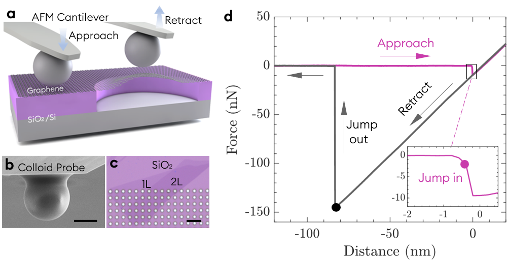 北京大学力学与工程科学学院力学系戴兆贺课题组在异质结构范德华作用可叠加性方面取得进展