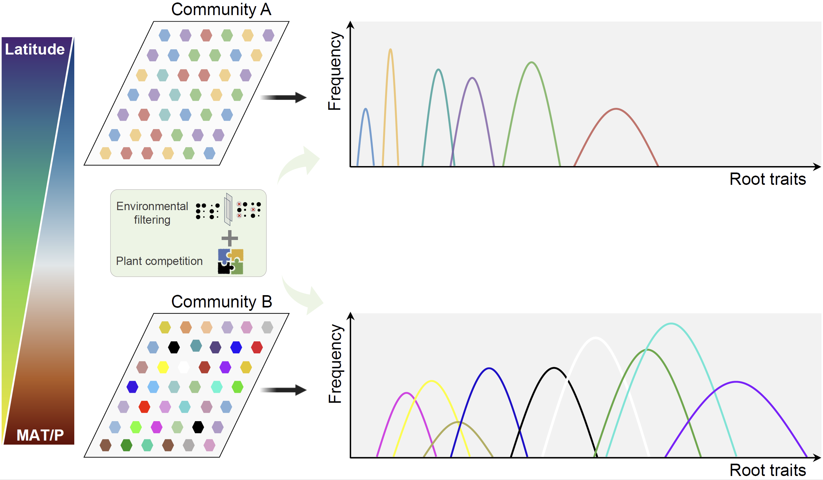 北京大学城市与环境学院朱彪课题组发表论文揭示植物根系性状种内变异的纬度格局