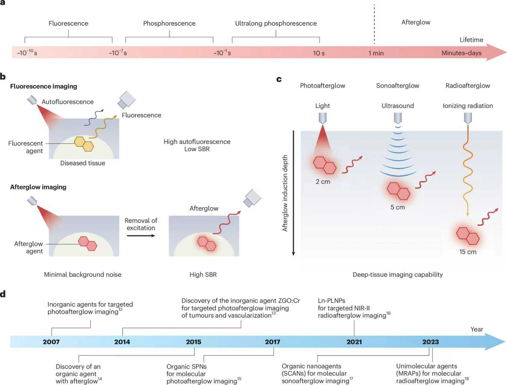 东南大学梁高林教授团队在《自然材料》上发表最新论文