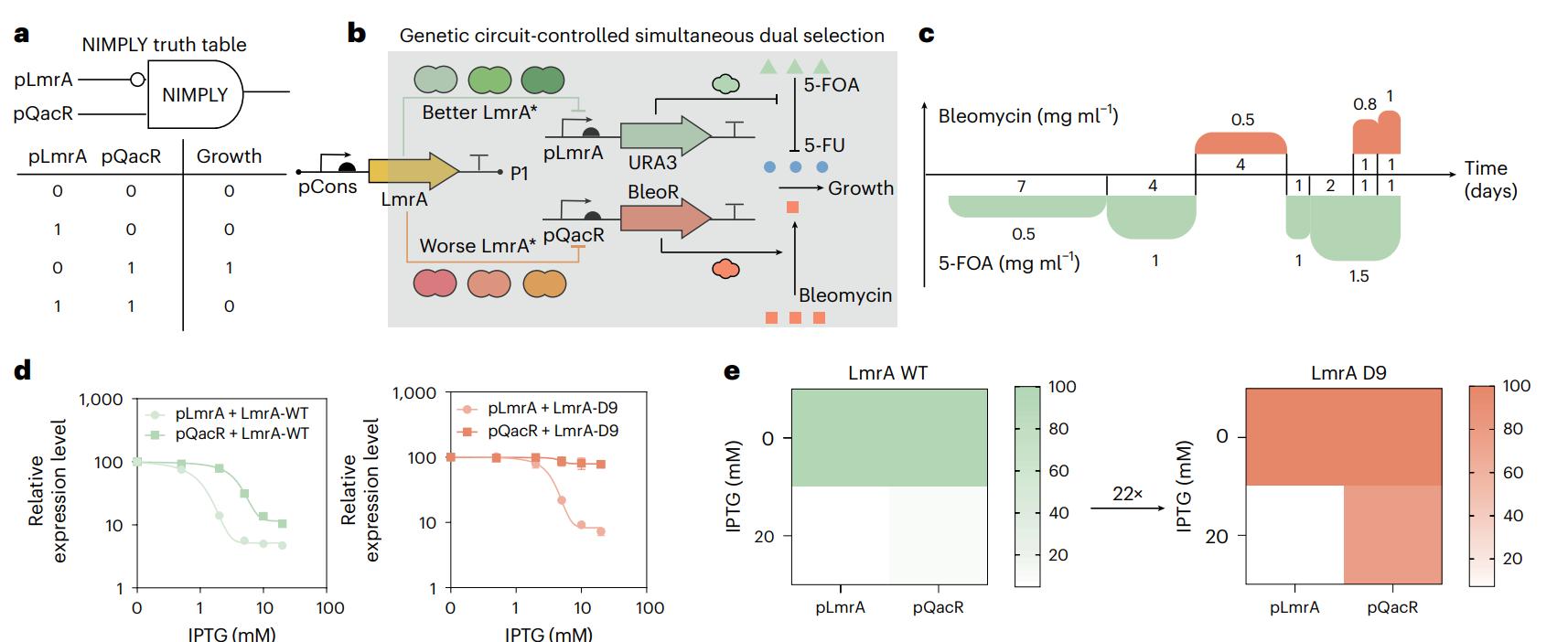 清华大学药学院张数一团队研发首个工业自动化蛋白质编程进化平台