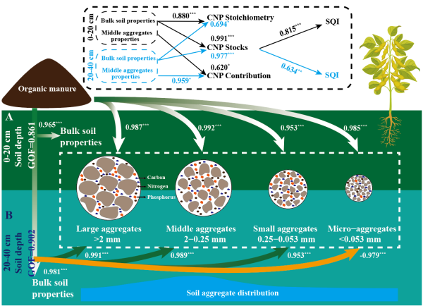 研究揭示调控团聚体尺度养分储量可提升黑土土壤质量内在机制