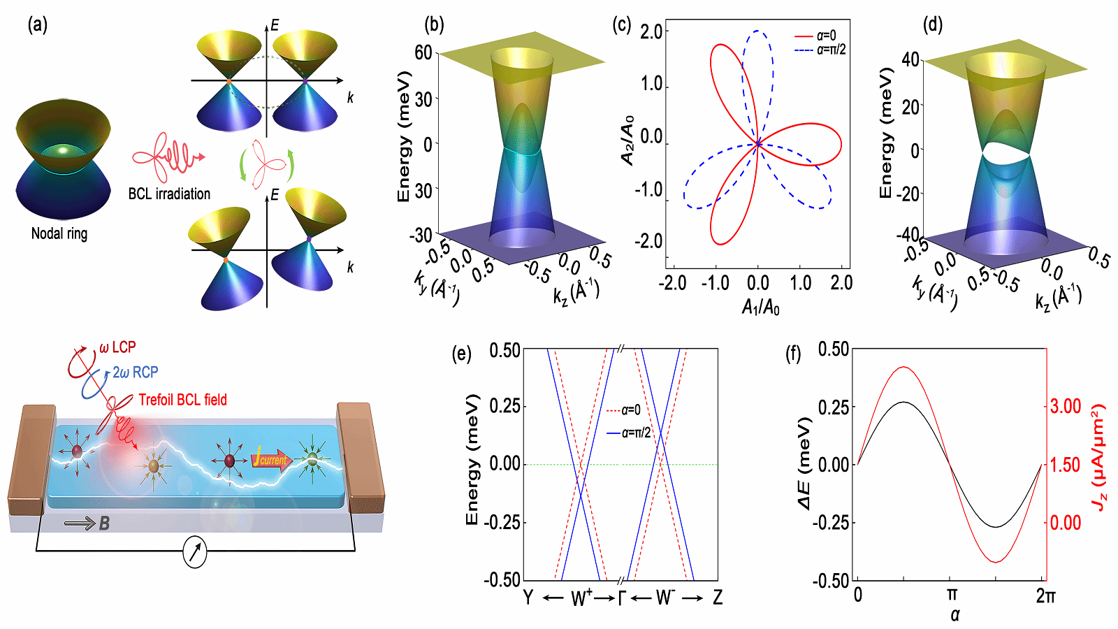 重庆大学重庆大学王锐教授与许东辉教授团队在光调控拓扑物态研究方面取得重要进展