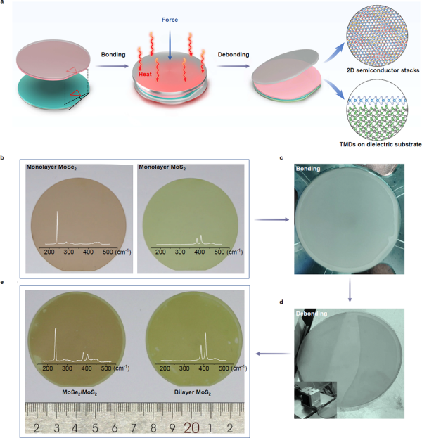 研究实现二维半导体晶圆的直接键合