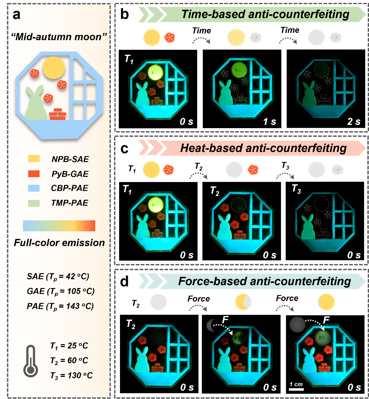 西安交大与中科大研究团队 在橡胶态交联聚合物网络的敏感机械压缩图案化磷光领域取得突破性进展