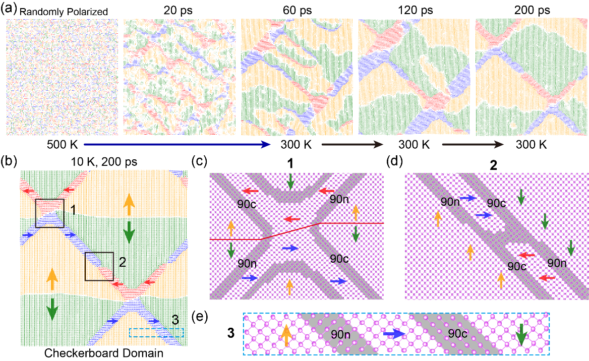 西安交大研究人员在二维铁电拓扑畴领域取得新进展