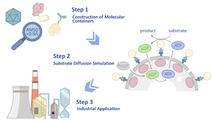 北师大iGEM团队BNU-China斩获四项国际荣誉
