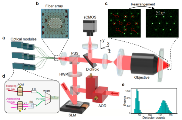 科研人员实现基于光纤阵列的中性原子量子计算新架构