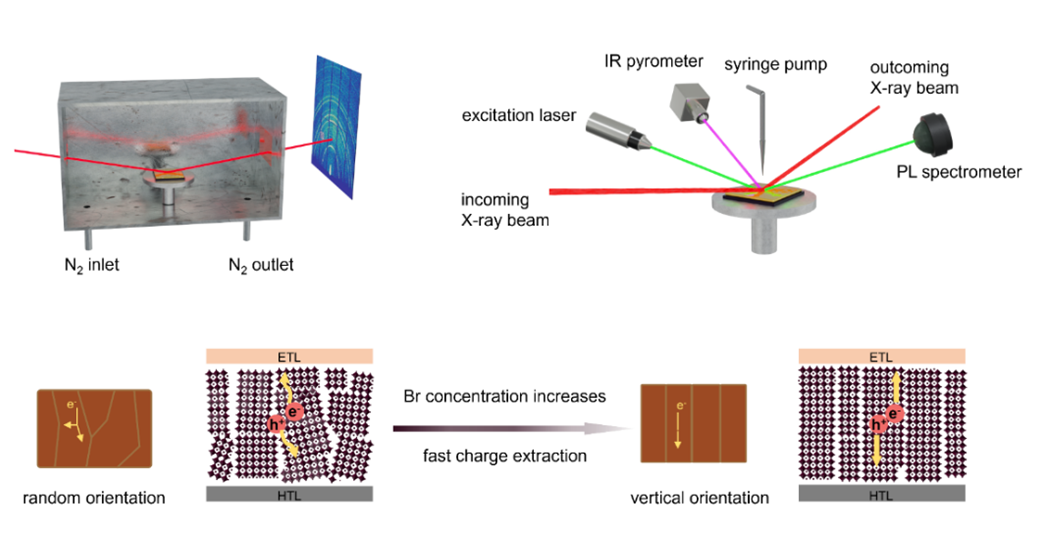 电子科技大学物理学院乔梁教授团队在EES上发表重要研究成果