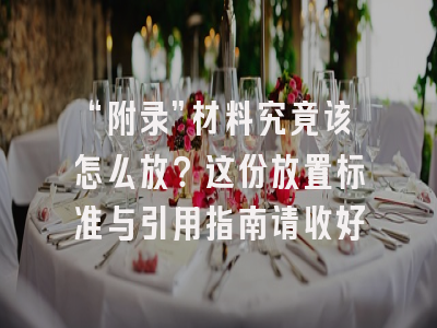 “附录”材料究竟该怎么放？这份放置标准与引用指南请收好