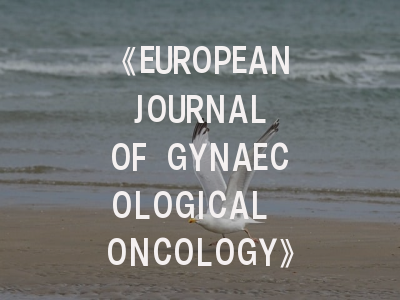 《EUROPEAN JOURNAL OF GYNAECOLOGICAL ONCOLOGY》期刊介绍与投稿策略