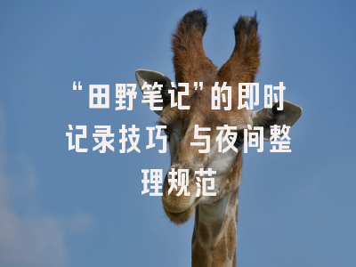 “田野笔记”的即时记录技巧 与夜间整理规范
