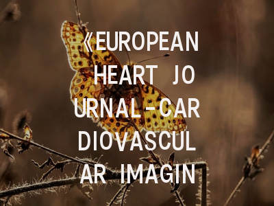 《EUROPEAN HEART JOURNAL-CARDIOVASCULAR IMAGING》期刊介绍与投稿策略