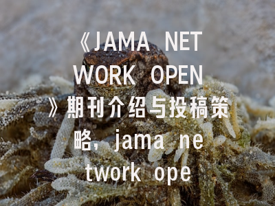 《JAMA NETWORK OPEN》期刊介绍与投稿策略,jama network open审稿周期