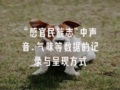 “感官民族志”中声音、气味等数据的记录与呈现方式
