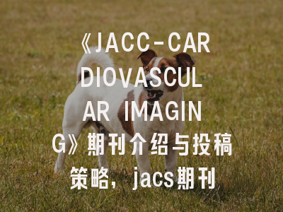 《JACC-CARDIOVASCULAR IMAGING》期刊介绍与投稿策略,jacs期刊简介