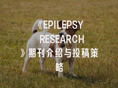 《EPILEPSY RESEARCH》期刊介绍与投稿策略