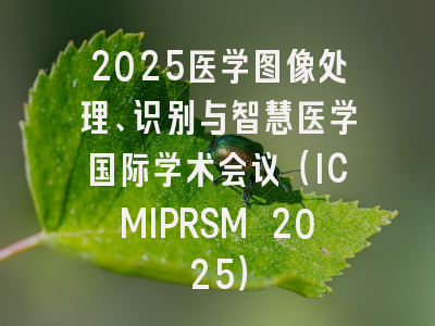 2025医学图像处理、识别与智慧医学国际学术会议(ICMIPRSM 2025)