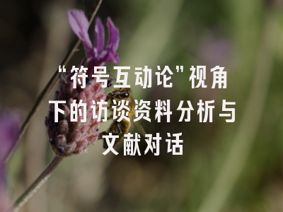 “符号互动论”视角下的访谈资料分析与文献对话