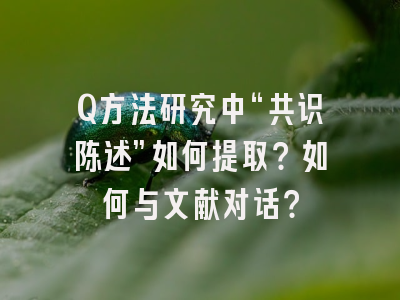 Q方法研究中“共识陈述”如何提取？如何与文献对话？