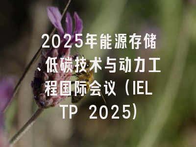 2025年能源存储、低碳技术与动力工程国际会议（IELTP 2025）