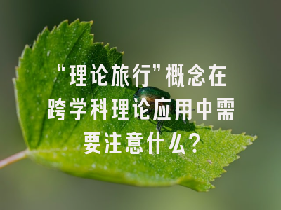 “理论旅行”概念在跨学科理论应用中需要注意什么?