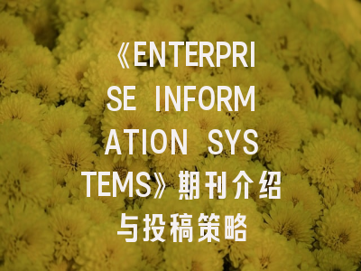 《ENTERPRISE INFORMATION SYSTEMS》期刊介绍与投稿策略
