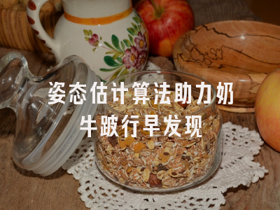 姿态估计算法助力奶牛跛行早发现