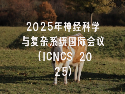 2025年神经科学与复杂系统国际会议(ICNCS 2025)