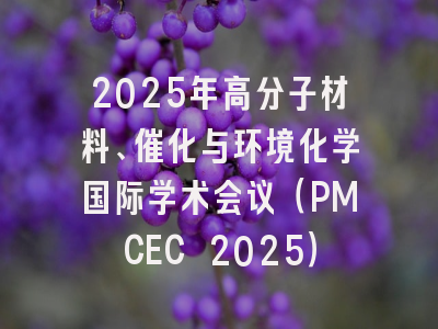 2025年高分子材料、催化与环境化学国际学术会议（PMCEC 2025）