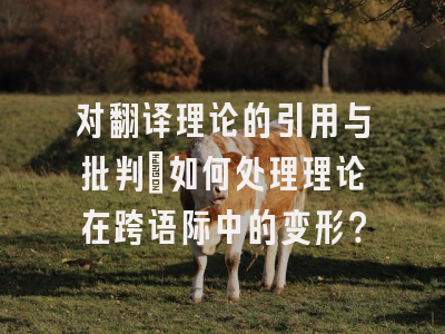 对翻译理论的引用与批判:如何处理理论在跨语际中的变形?
