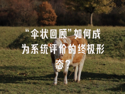 “伞状回顾”如何成为系统评价的终极形态？